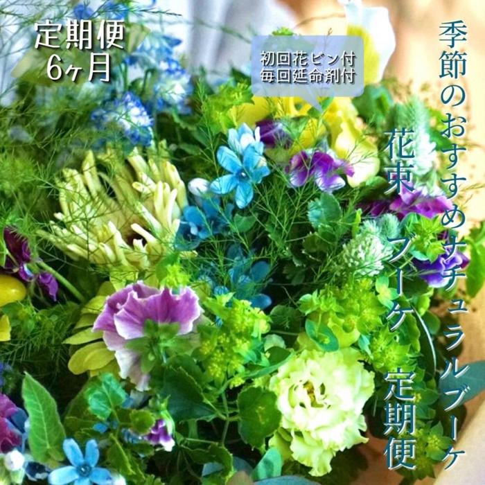 【ふるさと納税】《定期便 6ヵ月》生花ナチュラル花束 ブーケ初回花瓶付 | らんまん 花 植物 お花 アレンジメント 高知 人気 おすすめ 送料無料