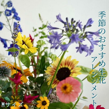 季節のおすすめ生花アレンジメントM 1個 | らんまん 花 植物 お花 アレンジメント 高知 人気 おすすめ 送料無料