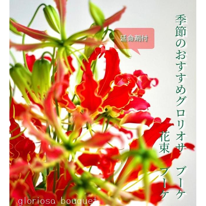 【ふるさと納税】生花グロリオサ花束 ブーケ 1束 | らんまん 花 植物 お花 アレンジメント 高知 人気 おすすめ 送料無料