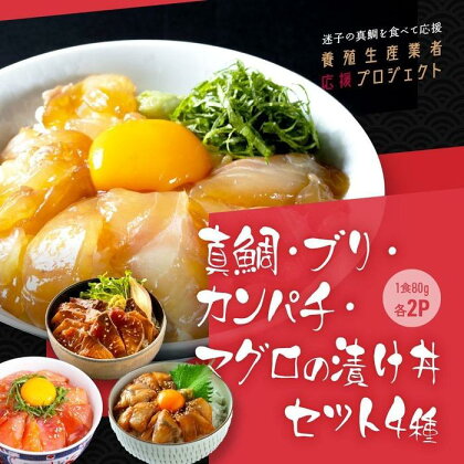 【真鯛・ブリ・カンパチ・マグロ】高知の海鮮丼の素「4種×各2パックセット」（1食約80g×8パック） | 魚 お魚 さかな 食品 加工食品 人気 おすすめ マダイ まだい 鰤 ぶり かんぱち まぐろ