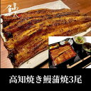 【ふるさと納税】高知焼き鰻蒲焼3尾 | 鰻 魚介類 水産 食