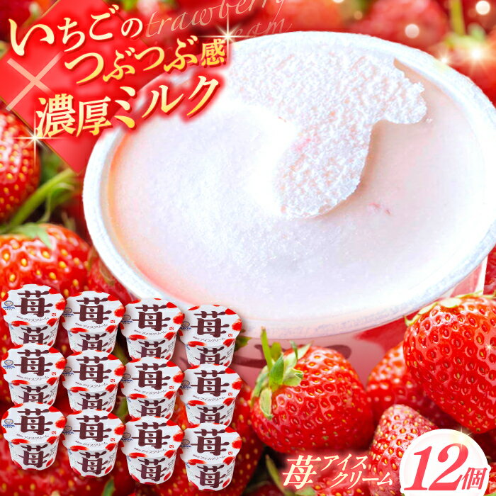 苺アイスクリーム 12個入 アイス 添加物不使用 | 久保田食品[グレイジア株式会社][ATAC218]