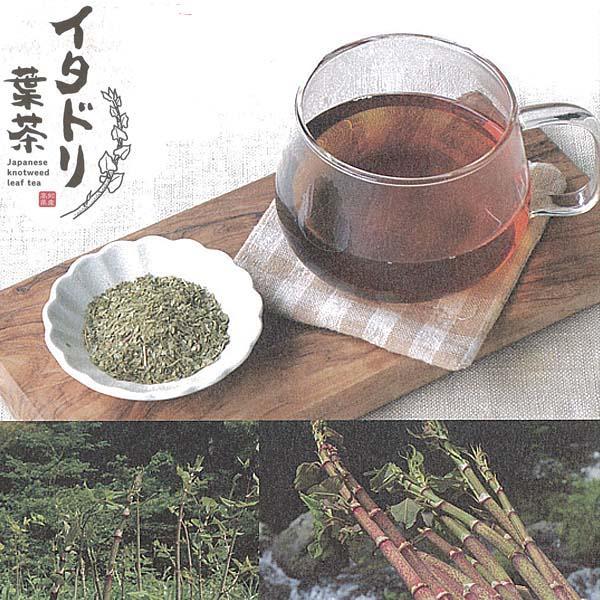 イタドリ葉茶 約48g (約4g×12包) ティーバッグ お茶 いたどり 春の山菜 山菜の里 高知 土佐 [グレイジア株式会社][ATAC517]