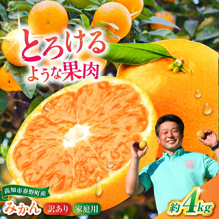 高知市春野町 西込さんの美味しいみかん 約4kg ご家庭用 ワケあり 【株式会社 四国健商】[ATAF011]