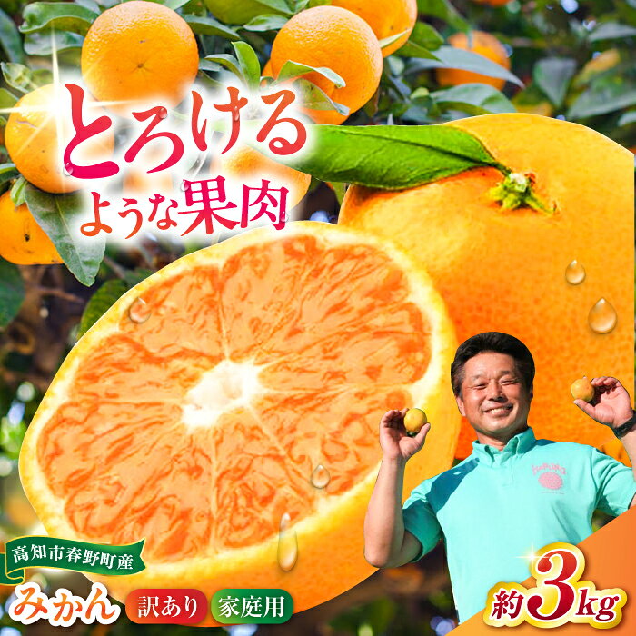 高知市春野町 西込さんの美味しいみかん 約3kg ご家庭用 ワケあり 【株式会社 四国健商】[ATAF012]