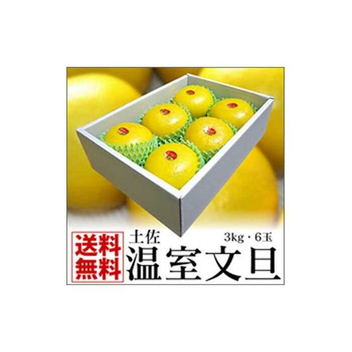 高知特産 温室（ハウス）土佐文旦 約3kg・6玉入〈2026年11月下旬〜2027年1月上旬頃発送〉【株式会社四国健商】[ATAF036]