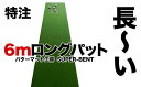 【ふるさと納税】ロングパット! 特注 45cm×6m SUPER-BENT パターマットシンプルセット (距離感マスターカップ付き) 【パターマット工房PROゴ...