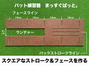 高知県高知市の画像3