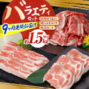 【ふるさと納税】【9回定期便】お肉の定期便 バラエティセット (9ヵ月) 総計約13.5kg 国産 牛肉 切り落とし 豚肉 バラ スライス 【(有)山重食肉】[...