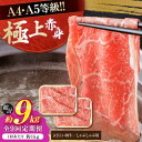 【ふるさと納税】【9回定期便】高知県産 よさこい和牛 上赤身 しゃぶしゃぶ用 約500g×2 総計約9kg 牛肉 すきやき 国産 肉 A4 A5 薄切り スライ...