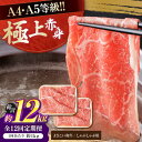【ふるさと納税】【12回定期便】高知県産 よさこい和牛 上赤身 しゃぶしゃぶ用 約500g×2 総計約12kg 牛肉 すきやき 国産 肉 A4 A5 薄切り ス...