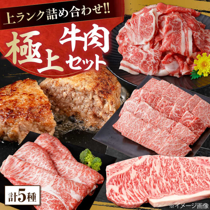 【ふるさと納税】上ランク 牛肉詰め合わせ 総計約4.59kg 牛肉 国産 焼肉 焼き肉 すき焼き 切り落とし サーロインステーキ ハンバーグ 【(有)山重食肉】[ATAP010]