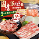 【ふるさと納税】【3回定期便】お肉の定期便 国産 豚肉 詰め合わせ セット (3ヵ月) 総計約6kg バラ スライス 切り落とし 小間切れ 【(有)山重食肉】[...