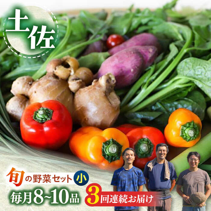 [3回定期便] 土佐の太陽をいっぱいに浴びた旬の野菜セット小[土佐野菜][ATBA005] 詰め合わせ 新鮮 産地直送 おまかせ 季節の野菜 定期便 セット 野菜定期便 野菜セット定期便 やさい ヤサイ 送料無料 野菜 セット 定期 定期便 旬野菜