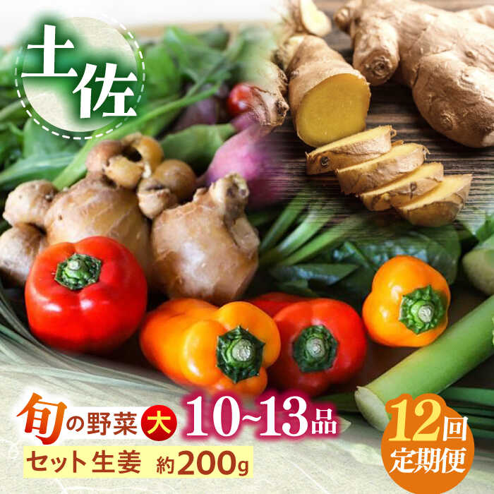 [12回定期便]土佐の太陽をいっぱいに浴びた旬の野菜生姜約200gのセット「大」 (12回配送)[土佐野菜][ATBA016] 詰め合わせ 新鮮 産地直送 おまかせ 季節の野菜 定期便 セット 野菜定期便 野菜 定期 やさい ヤサイ 送料無料 ふるさと納税 季節野菜