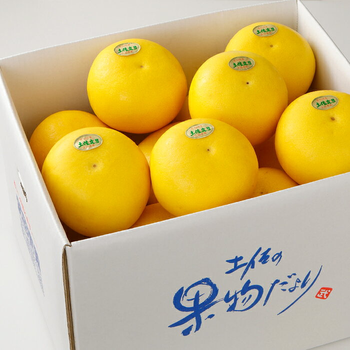 【ふるさと納税】【先行予約】 よりすぐりの土佐文旦 約10kg（2Lサイズ 20玉程度）〈2027年2月初旬〜2027年4月中旬頃発送〉 / 文旦 土佐文旦 10kg 2L 20玉 大玉 柑橘 果物 フルーツ デザート 季節限定 期間限定 【L＋武田青果】 [ATIT009]