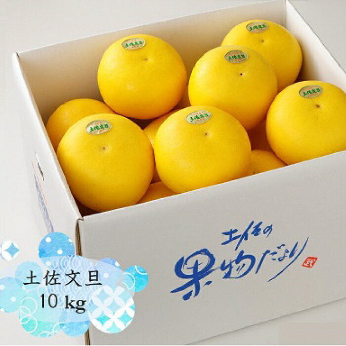 【ふるさと納税】【先行予約】 よりすぐりの土佐文旦 約10kg（2Lサイズ 20玉程度）〈2027年2月初旬〜2027年4月中旬頃発送〉 / 文旦 土佐文旦 10kg 2L 20玉 大玉 柑橘 果物 フルーツ デザート 季節限定 期間限定 【L＋武田青果】 [ATIT009]