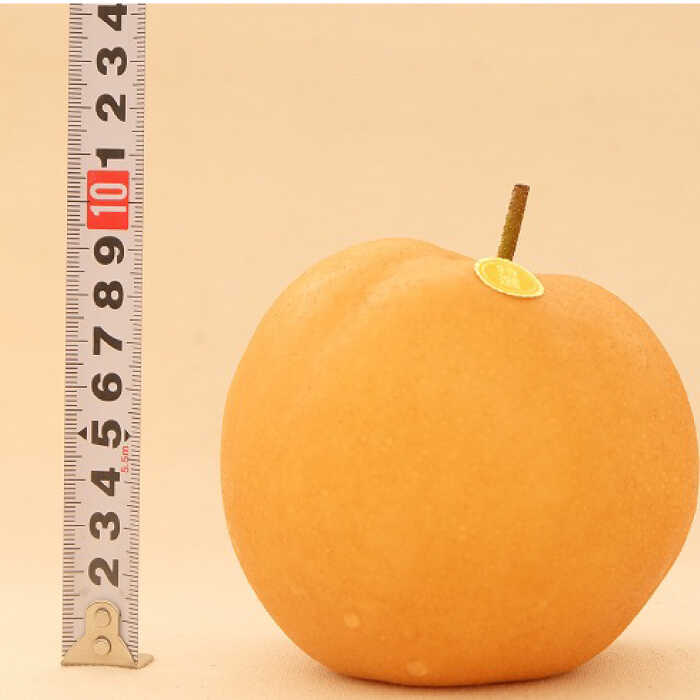 【ふるさと納税】【先行予約】 厳選・豊水梨 約4kg（8〜12個程度）〈2026年9月初旬〜2026年9月中旬頃発送〉 / 梨 豊水 豊水梨 和梨 4kg 8玉 12玉 果物 フルーツ デザート 季節限定 期間限定 【L＋武田青果】 [ATIT003] f392014-kochi-10002461 高知県高知市 サンプル画像2