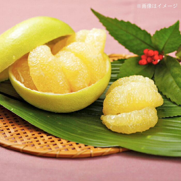 【ふるさと納税】【先行予約】 厳選・水晶文旦 約3kg（5〜6玉程度）〈2026年10月初旬〜2026年11月下旬頃発送〉 / 文旦 水晶文旦 3kg 5玉 6玉 柑橘 果物 フルーツ デザート 季節限定 期間限定 【L＋武田青果】 [ATIT005] f392014-kochi-10001032 高知県高知市 サンプル画像2