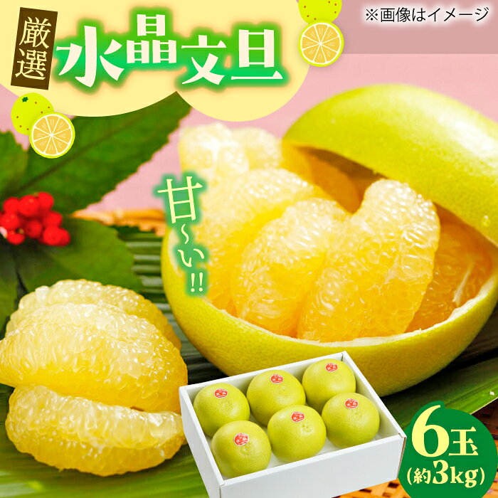[先行予約] 厳選・水晶文旦 約3kg(5〜6玉程度)[2026年10月初旬〜2026年11月下旬頃発送] / 文旦 水晶文旦 3kg 5玉 6玉 柑橘 果物 フルーツ デザート 季節限定 期間限定 [L+武田青果] [ATIT005]