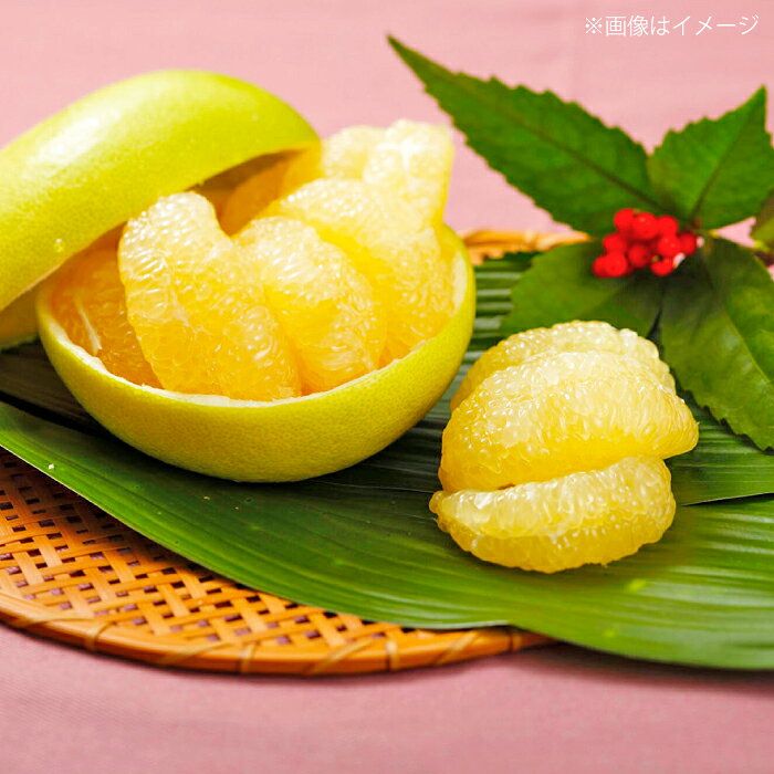 【ふるさと納税】【先行予約】 厳選・水晶文旦 約3kg（小ぶりサイズ7玉入り）〈2026年10月1日～2026年11月中旬頃発送〉 / 文旦 水晶文旦 3kg 小ぶり 7玉 柑橘 果物 フルーツ デザート 季節限定 期間限定 【L＋武田青果】 [ATIT004] f392014-kochi-10001033 高知県高知市 サンプル画像2