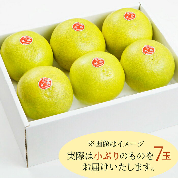 【ふるさと納税】【先行予約】 厳選・水晶文旦 約3kg（小ぶりサイズ7玉入り）〈2026年10月1日～2026年11月中旬頃発送〉 / 文旦 水晶文旦 3kg 小ぶり 7玉 柑橘 果物 フルーツ デザート 季節限定 期間限定 【L＋武田青果】 [ATIT004] f392014-kochi-10001033 高知県高知市 サンプル画像3