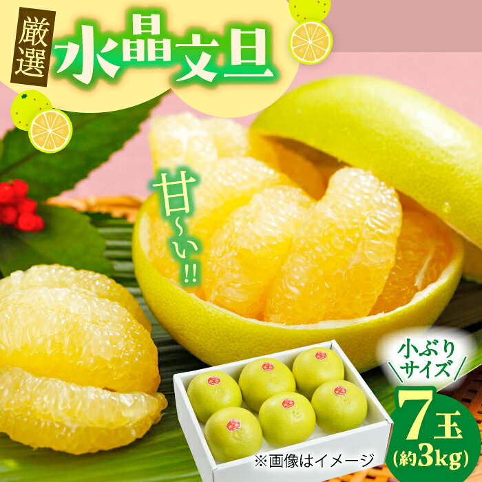 【ふるさと納税】【先行予約】 厳選・水晶文旦 約3kg（小ぶりサイズ7玉入り）〈2026年10月1日～2026年11月中旬頃発送〉 / 文旦 水晶文旦 3kg 小ぶり 7玉 柑橘 果物 フルーツ デザート 季節限定 期間限定 【L＋武田青果】 [ATIT004] f392014-kochi-10001033 高知県高知市 パッケージ画像