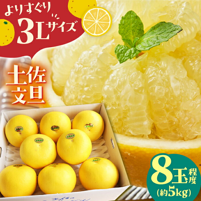 【先行予約】 よりすぐりの土佐文旦 約5kg（3Lサイズ 8玉程度）〈2027年2月初旬〜2027年5月下旬頃発送〉 / 文旦 土佐文旦 5kg 3L 8玉 大玉 柑橘 果物 フルーツ デザート 季節限定 期間限定 【L＋武田青果】 [ATIT008]