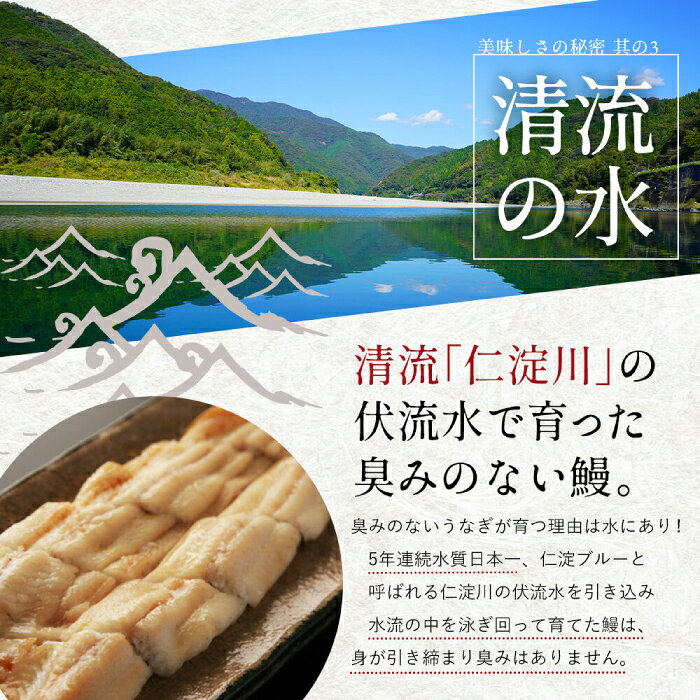 【ふるさと納税】【最速発送】【選べる内容量】完全無投薬 仁淀川の伏流水で育てた贅沢 うなぎ 蒲焼き 中サイズ ギフトセット 池澤鮮魚 【池澤鮮魚オンラインショップ】[ATBE005]　スピード 最短 最速 発送 f392014-kochi-10002805 高知県高知市 サンプル画像3