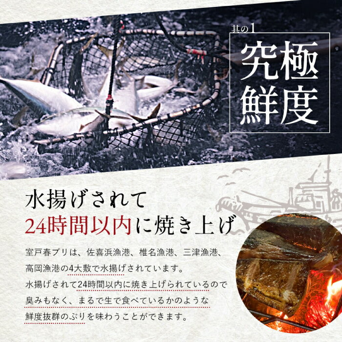 【ふるさと納税】高知県産 天然ブリ 藁焼きたたき 室戸春ブリ 葉ニンニクのぬた 約350g 【池澤鮮魚オンラインショップ】[ATBE009]