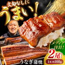 【ふるさと納税】高知県産 うなぎ 長蒲焼 2尾 約160g×2 (2〜4人前) / レンチン 蒲焼き 蒲焼 かば焼き たれ タレ うなぎ ウナギ 鰻 小分け 個...