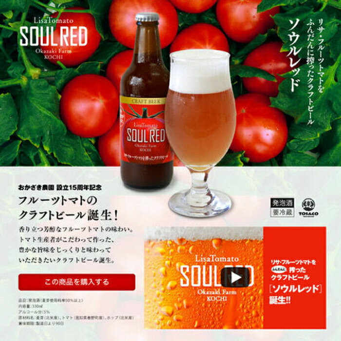 クラフトビール ソウルレッド6本セット [株式会社 堀][ATDA004]