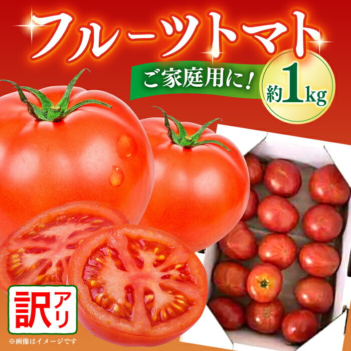 【ふるさと納税】【先行予約】【訳あり】高知市産 ご家庭用フルーツトマト約1kg〈2026年1月上旬〜2026年5月末頃発送〉トマト とまと 高知 フルーツ 果物...
