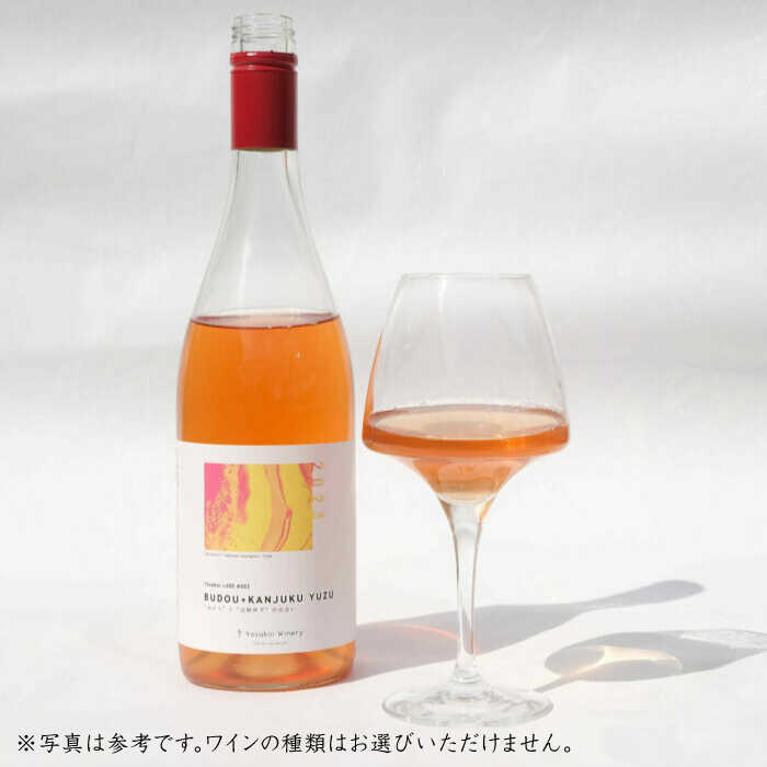 【ふるさと納税】オリジナルチャレンジワイン3本セット（750ml×3）【よさ来いワイナリー】[ATET001]