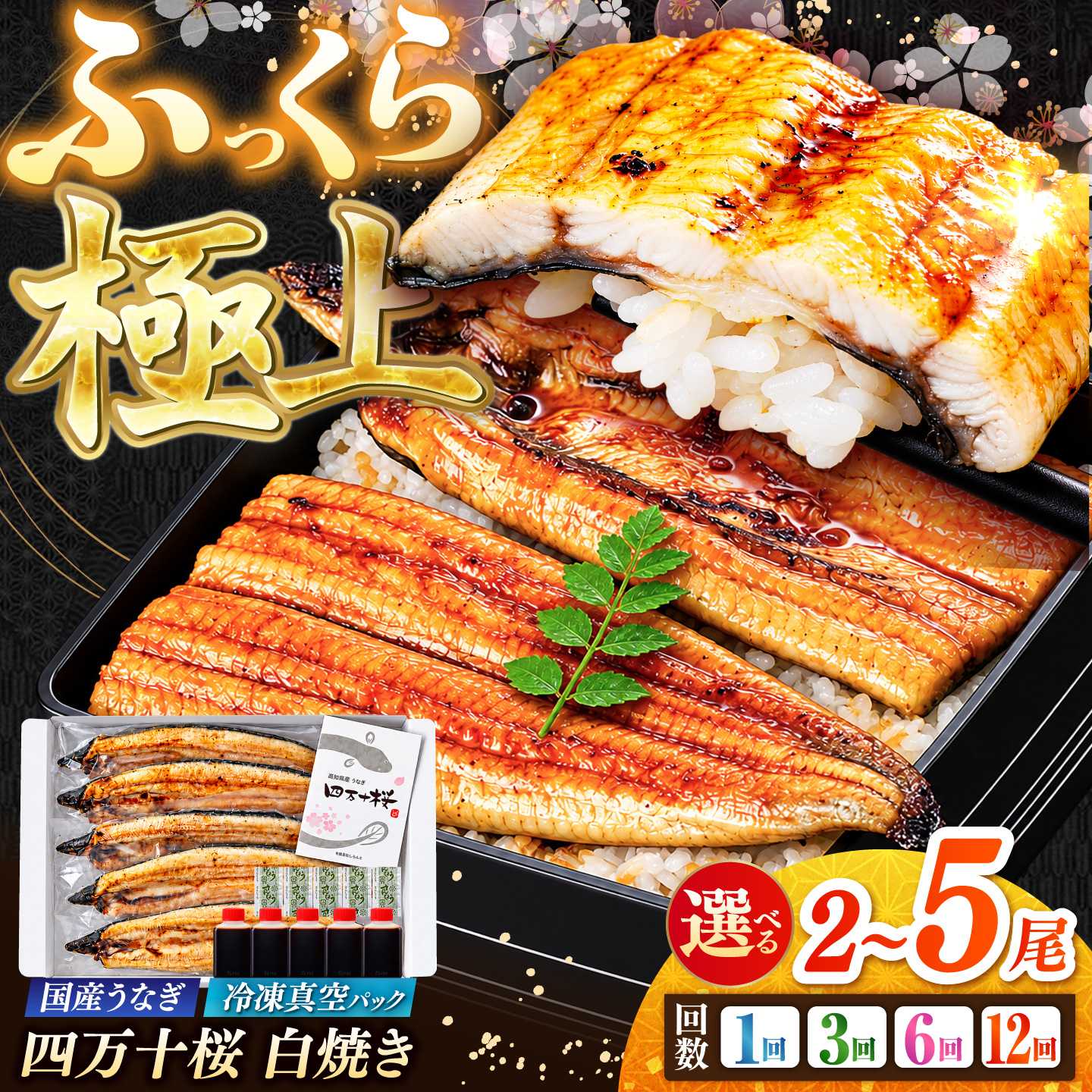極上国産うなぎ四万十桜 白焼き2尾 通常サイズ / 国産 高知 四万十 うなぎ ウナギ 鰻 蒲焼き うな重 惣菜 贅沢 【有限会社もりた】[ATHE038]