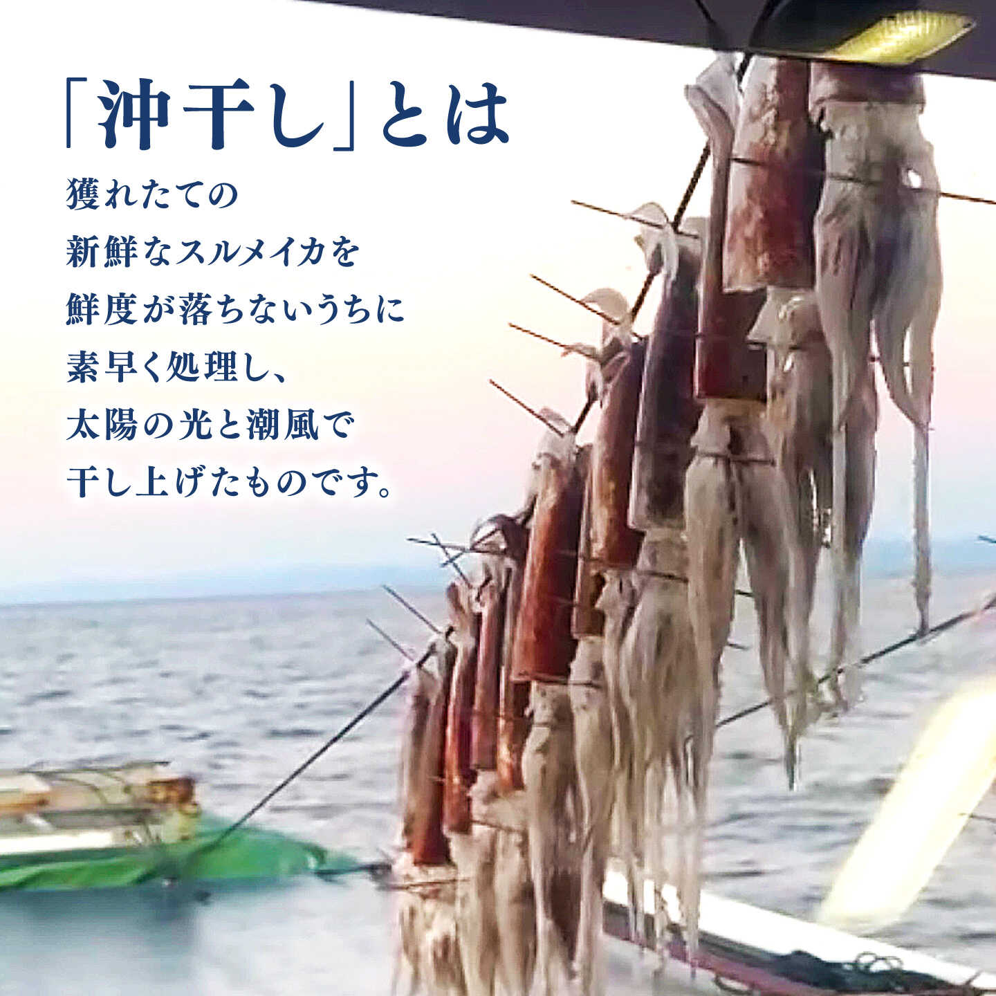 【ふるさと納税】【先行予約】 高知県産 スルメイカ 沖干し 3枚 〈2027年1月上旬から発送〉 / するめいか イカ いか 沖干し スルメ するめ 海鮮 乾燥 おつまみ おかず おやつ 冷凍 高知 【ワクトフーズ】 [ATHF002] f392014-kochi-10004331 高知県高知市 サンプル画像3