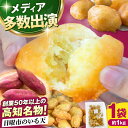 【ふるさと納税】高知名物 日曜市いも天 約1kg / 高知 レンチン 冷凍 いも天 芋天 天ぷら さつまいも おやつ スイーツ 軽食 大容量 いも 芋【有限会社...