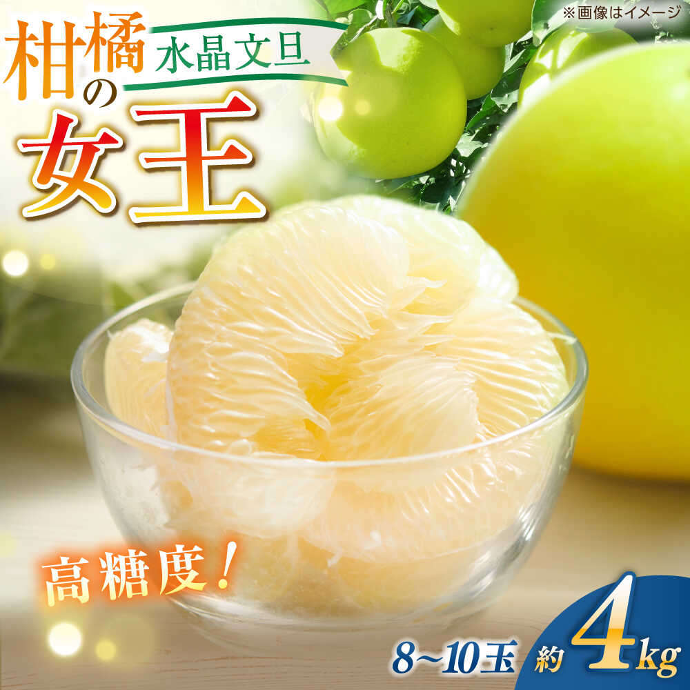 【先行予約】 水晶文旦 約4kg（8〜10玉）栽培期間中農薬不使用 〈2025年12月20日〜2026年1月下旬発送〉 / 高知 文旦 果物 柑橘 フルーツ デザート 【川渕果樹園】[ATHX004]