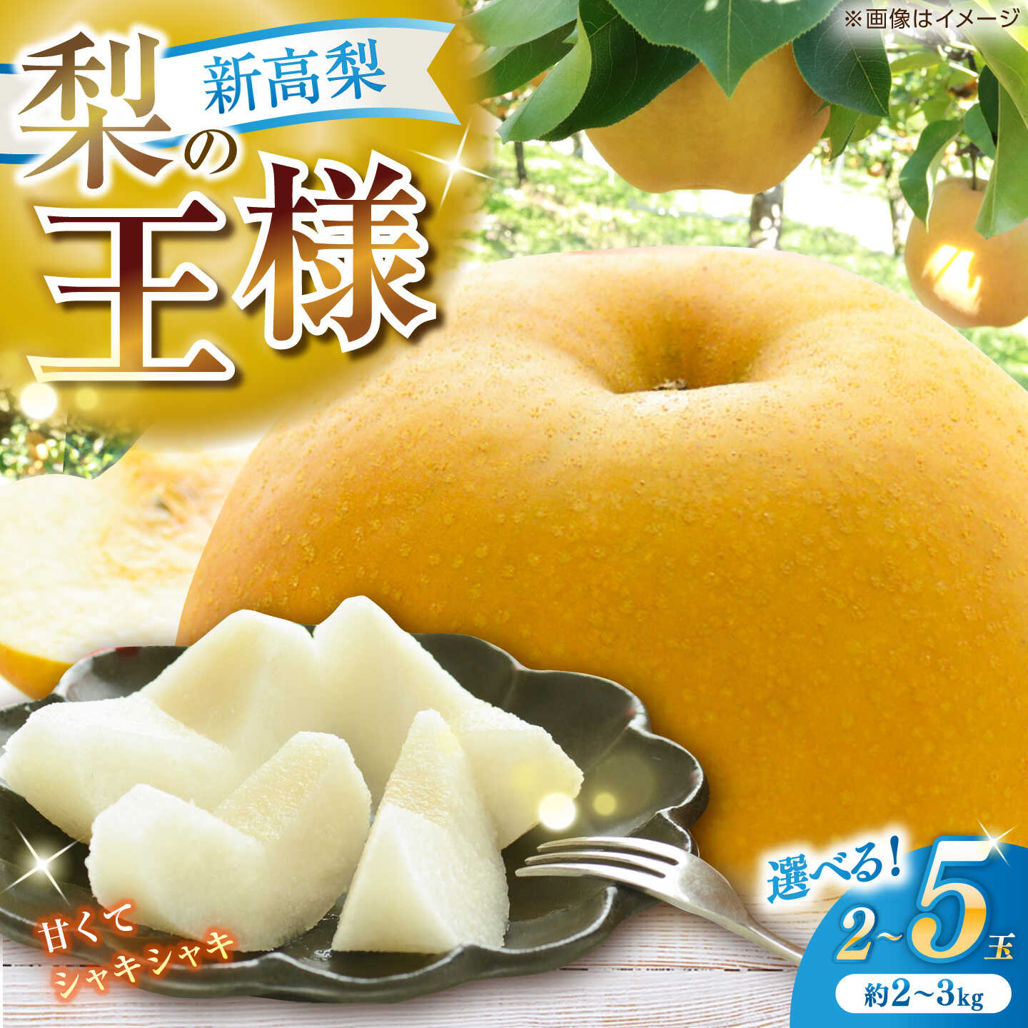 【特徴】 香り、甘さ、みずみずしさ、シャキシャキ食感、全てが揃った高知を代表する果物。 大きいものは1kgを超え、「梨の王様」とも呼ばれています。 【召し上がり方】 冷蔵庫で冷やしてお召し上がりください。 1か月ほど置いておくと、熟成して蜜のようになり、香りや甘みがさらに増してより美味しくなります。 【川渕果樹園】 高知市の針木と春野に圃場があり、10種類以上の梨を栽培。 有機栽培にこだわり、「感動するようなおいしいものを届けたい」と、 梨が必要としている栄養分を与えるようにし、日当たりにも気を配って栽培しています。 【「たこ足せん定技法”で特許を取得】 梨の主枝を四方八方に配置して隙間を埋め、太陽光を最大限に活用する栽培法。 早期に成園化できるほか、柑橘類や栗、ブドウなど様々な果樹に適用できます。 【選べる内容量】 ・約2kg（大きいサイズ2玉） ・約2kg（3〜4玉） ・約2.4kg（大きいサイズ3玉） ・約3kg（5玉） ※大きいサイズのものは収穫が難しく数に限りがあるため、サイズに応じて価格が異なります 【賞味期限】1週間（冷蔵保管） 【原料原産地】 川渕果樹園：高知市針木北2丁目10-10-1 高知 針木 新高梨 梨 和梨 果物 フルーツ デザート 地場産品基準該当理由 高知市内の圃場において、栽培を行っているため。 《ご注意》 ※商品到着後は、新聞紙で包み、冷蔵庫にて早めに保管してください ※到着しましたら、すぐに開封して梨の状態をご確認ください ※万が一傷み等がございましたら、到着後5日以内に下記連絡先までご連絡ください ※ご連絡の際は、梨の画像と外箱の様子がわかる写真を添付いただけますようお願いいたします ※ご不在などでお受け取りが遅れた場合も、出荷日より1週間以内にご連絡いただければ再送対応が可能です。 ---------------------------------------------- 【問い合わせ先】 高知市ふるさと納税サポート室 TEL：050-8893-3390 MAIL：kochi@steamship.co.jp 受付時間：9:00-17:00 ※土日祝、年末年始は閉庁しています。 ----------------------------------------------【特徴】 香り、甘さ、みずみずしさ、シャキシャキ食感、全てが揃った高知を代表する果物。 大きいものは1kgを超え、「梨の王様」とも呼ばれています。 【召し上がり方】 冷蔵庫で冷やしてお召し上がりください。 1か月ほど置いておくと、熟成して蜜のようになり、香りや甘みがさらに増してより美味しくなります。 【川渕果樹園】 高知市の針木と春野に圃場があり、10種類以上の梨を栽培。 有機栽培にこだわり、「感動するようなおいしいものを届けたい」と、 梨が必要としている栄養分を与えるようにし、日当たりにも気を配って栽培しています。 【「たこ足せん定技法”で特許を取得】 梨の主枝を四方八方に配置して隙間を埋め、太陽光を最大限に活用する栽培法。 早期に成園化できるほか、柑橘類や栗、ブドウなど様々な果樹に適用できます。 その他、一部梨の農薬不使用にもチャレンジするなど、梨の栽培方法を極めています。 《ご注意》 ※商品到着後は、新聞紙で包み、冷蔵庫にて早めに保管してください ※到着しましたら、すぐに開封して梨の状態をご確認ください ※万が一傷み等がございましたら、到着後5日以内に下記連絡先までご連絡ください ※ご連絡の際は、梨の画像と外箱の様子がわかる写真を添付いただけますようお願いいたします ※ご不在などでお受け取りが遅れた場合も、出荷日より1週間以内にご連絡いただければ再送対応が可能です。 ---------------------------------------------- 【問い合わせ先】 高知市ふるさと納税サポート室 TEL：050-8893-3390 MAIL：kochi@steamship.co.jp 受付時間：9:00-17:00 ※土日祝、年末年始は閉庁しています。 ---------------------------------------------- ■こちらもおすすめです まるはり新高梨（約800g×2玉入） 【高知市農業協同組合】 まるはり新高梨（約800g×3玉入）【高知市農業協同組合】 【先行予約】 厳選・豊水梨 約4kg（8〜12個程度）【L＋武田青果】 【先行予約】 王秋 約3kg（6〜8玉） 【川渕果樹園】 土佐花木実ジャム6個セット 【あおぞら蒼空舎】 商品説明 名称 新高梨 秀 2玉～5玉 【川渕果樹園】 内容量 ■選べる内容量 ・約2kg（大きいサイズ2玉） ・約2kg（3〜4玉） ・約2.4kg（大きいサイズ3玉） ・約3kg（5玉） ※大きいサイズのものは収穫が難しく数に限りがあるため、サイズに応じて価格が異なります 原料原産地川渕果樹園：高知市針木北2丁目10-10-1 賞味期限1週間（冷蔵保管） 配送方法常温 配送期日2026年9月20日〜10月末 提供事業者川渕果樹園 高知 針木 新高梨 梨 和梨 果物 フルーツ デザート 針木ブランド 梨 地場産品基準該当理由 高知市内の圃場において、栽培を行っているため。