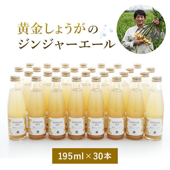 【ふるさと納税】 黄金しょうがのジンジャーエール30本 【 高知 高知県 高知県高知市 ジンジャエール ジンジャーエール ジンジャー 生姜 しょうが ジュース 飲み物 炭酸 炭酸飲料 瓶 まとめ買い 返礼品 ふるさと 納税 ソフトドリンク 】 緊急支援 支援 生産者応援