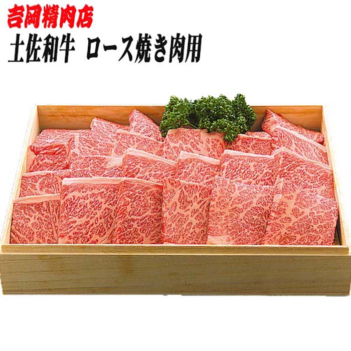 【ふるさと納税】土佐和牛 牛肉 ロース 焼肉 約500g |