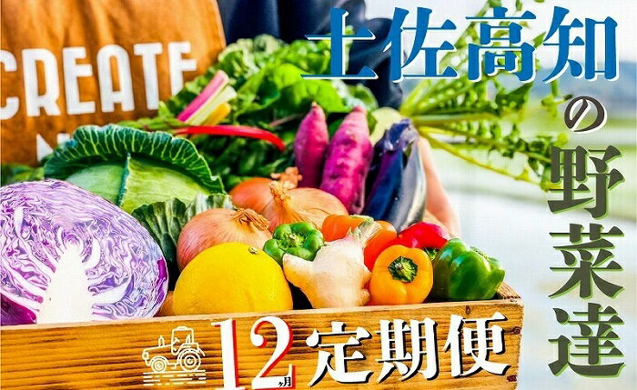 【ふるさと納税】定期便 旬 新鮮 野菜 計12回 8-12種