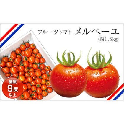 高知産フルーツトマト「メルベーユ」　約1.5kg