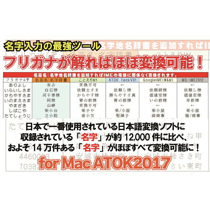 2021年春の 高知市 ふるさと納税 有限会社ビープラス 名字入力の最強ツール 名苗名：名字地名辞書 for Mac ATOK2017  perxhola.com