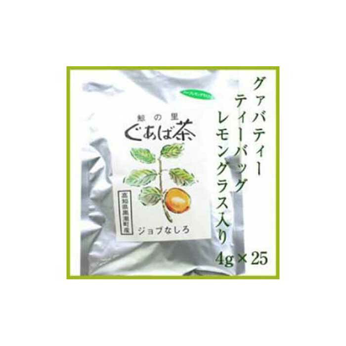 【ふるさと納税】グァバ茶ティーバ