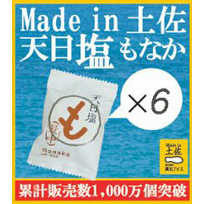 【ふるさと納税】高知アイス 天日塩もなか6個／塩アイス／Made in 土佐／モナカ／アイス