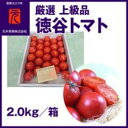 ふるさと納税濃厚徳谷トマト約2.0kg 