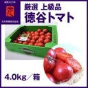 ふるさと納税濃厚徳谷トマト約4.0kg 