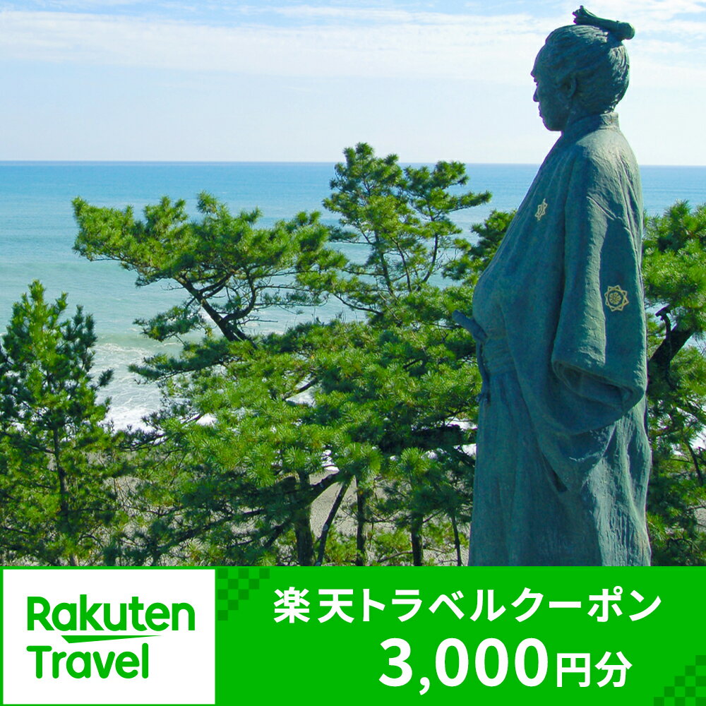 8位! 口コミ数「1件」評価「5」高知県高知市の対象施設で使える楽天トラベルクーポン 寄付額10,000円