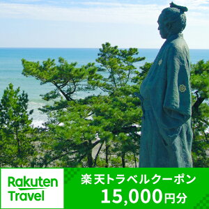 【ふるさと納税】高知県高知市の対象施設で使える楽天トラベルクーポン 寄付額50,000円